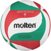 Molten V5M2000 Trainingsvolleybal kopen? - Klaver Sport